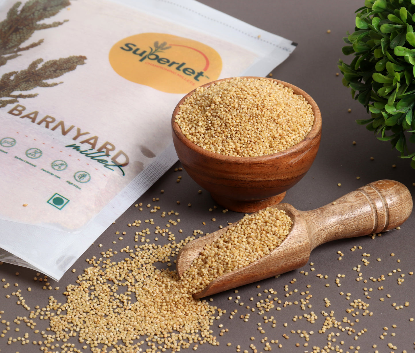 Barnyard Millet - 1 Kg